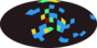 galactic footprint (+footg5.gif)